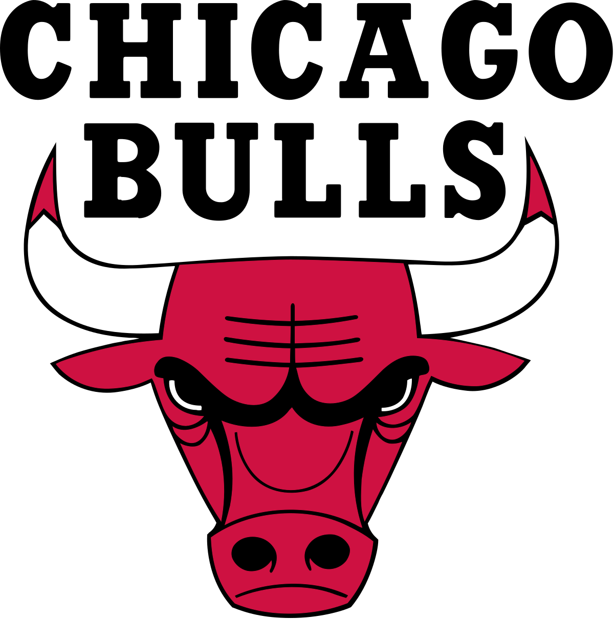 CHICAGO BULLS